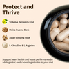 Nitric Oxide Booster